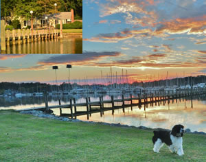 Swan Creek Waterfront